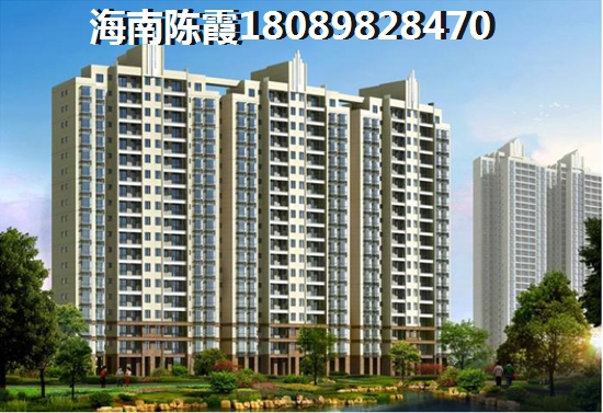 龍棲灣波波利海岸VS?？跒?號分析對比