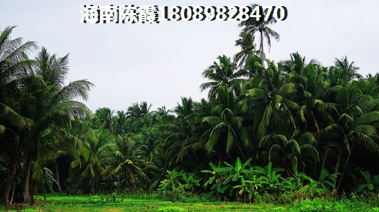 《海南翔奧公館優(yōu)越地段與touzi潛力探析》